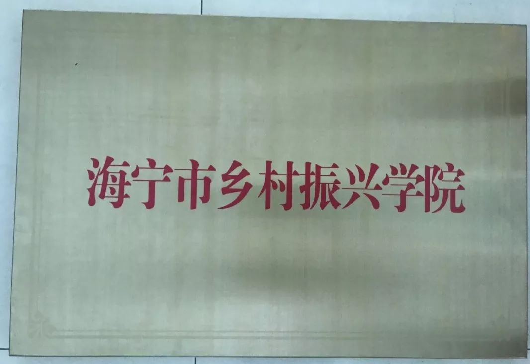 202201251003054336.jpeg 3.jpeg